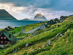 服务项目和服务内容